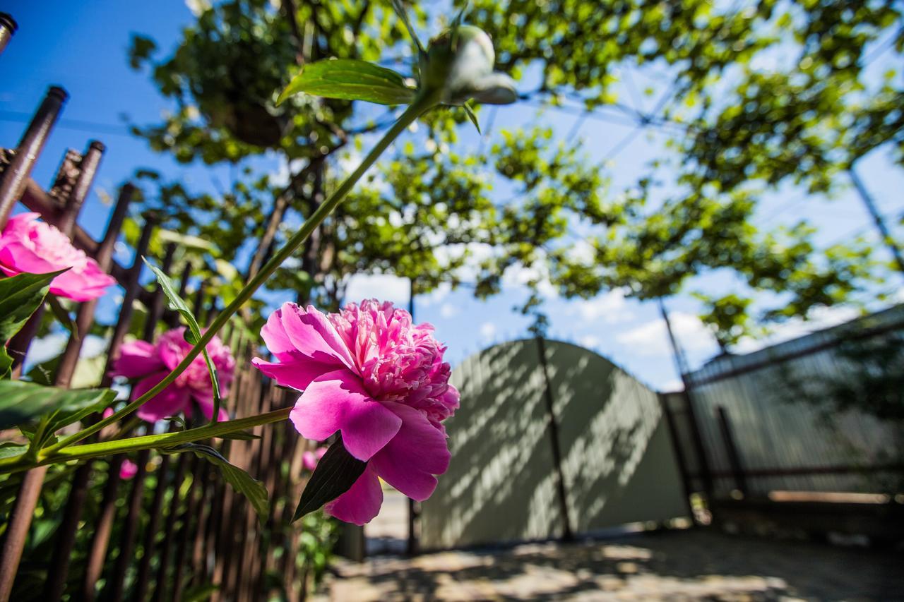 סבליאבה Guest House In Drachino מראה חיצוני תמונה